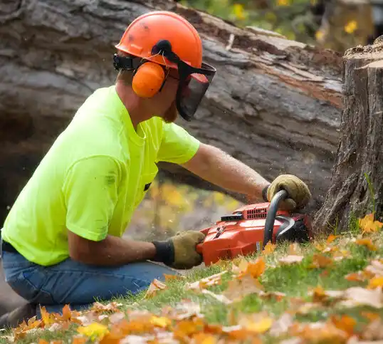 tree services Old Fort